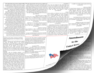 amendments to constitution foldable booklet founding document